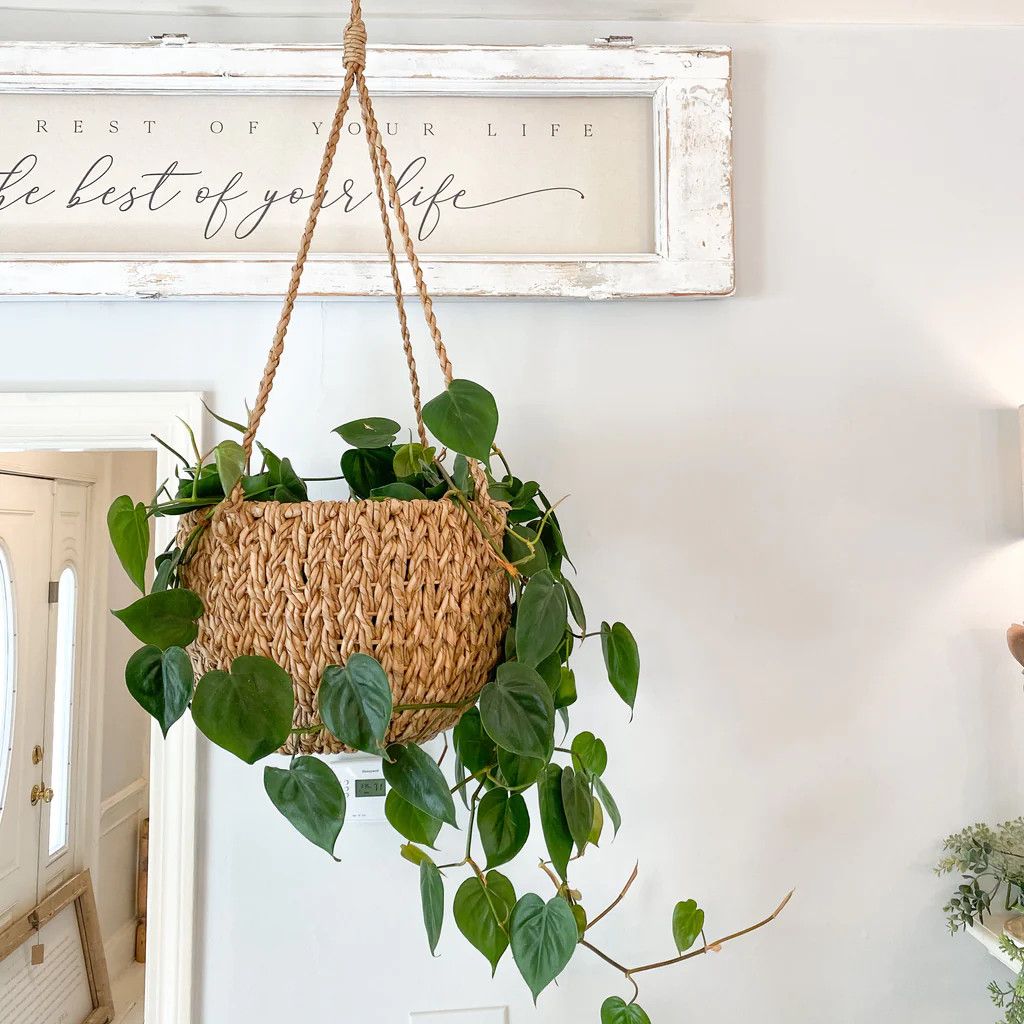 Woven Hanging Planter 2 Sizes | Purple Rose Home