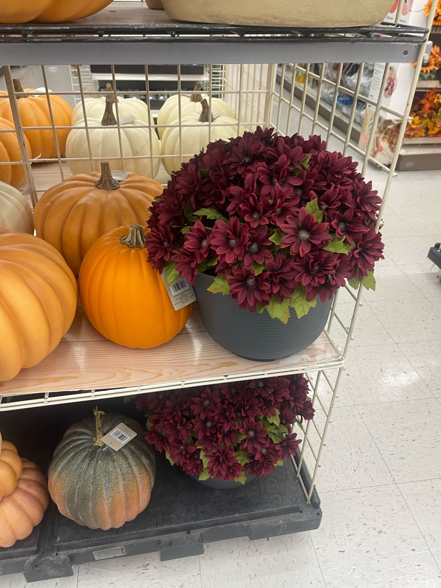 The most realistic faux mums and pumpkins

#LTKHome #LTKSeasonal #LTKdayinmylife