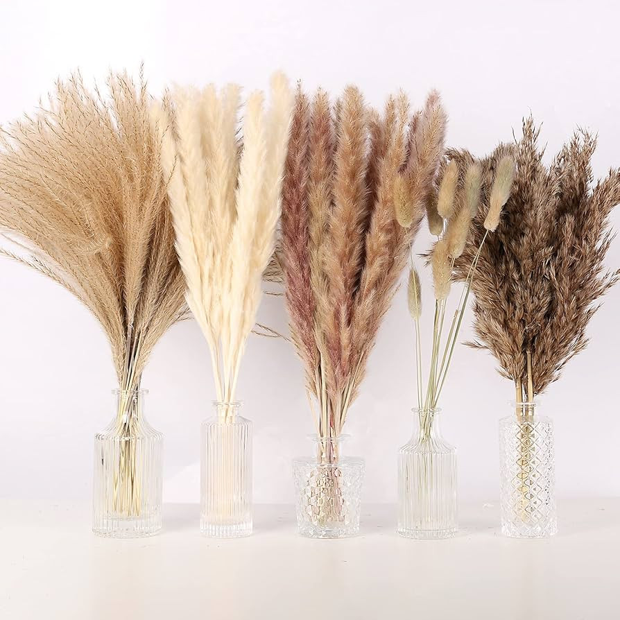N&T NETING 75Pcs Pampas Grass Decor-10Pcs White Pampas Grass, 20Pcs Brown Pampas Grass, 10Pcs Bun... | Amazon (US)