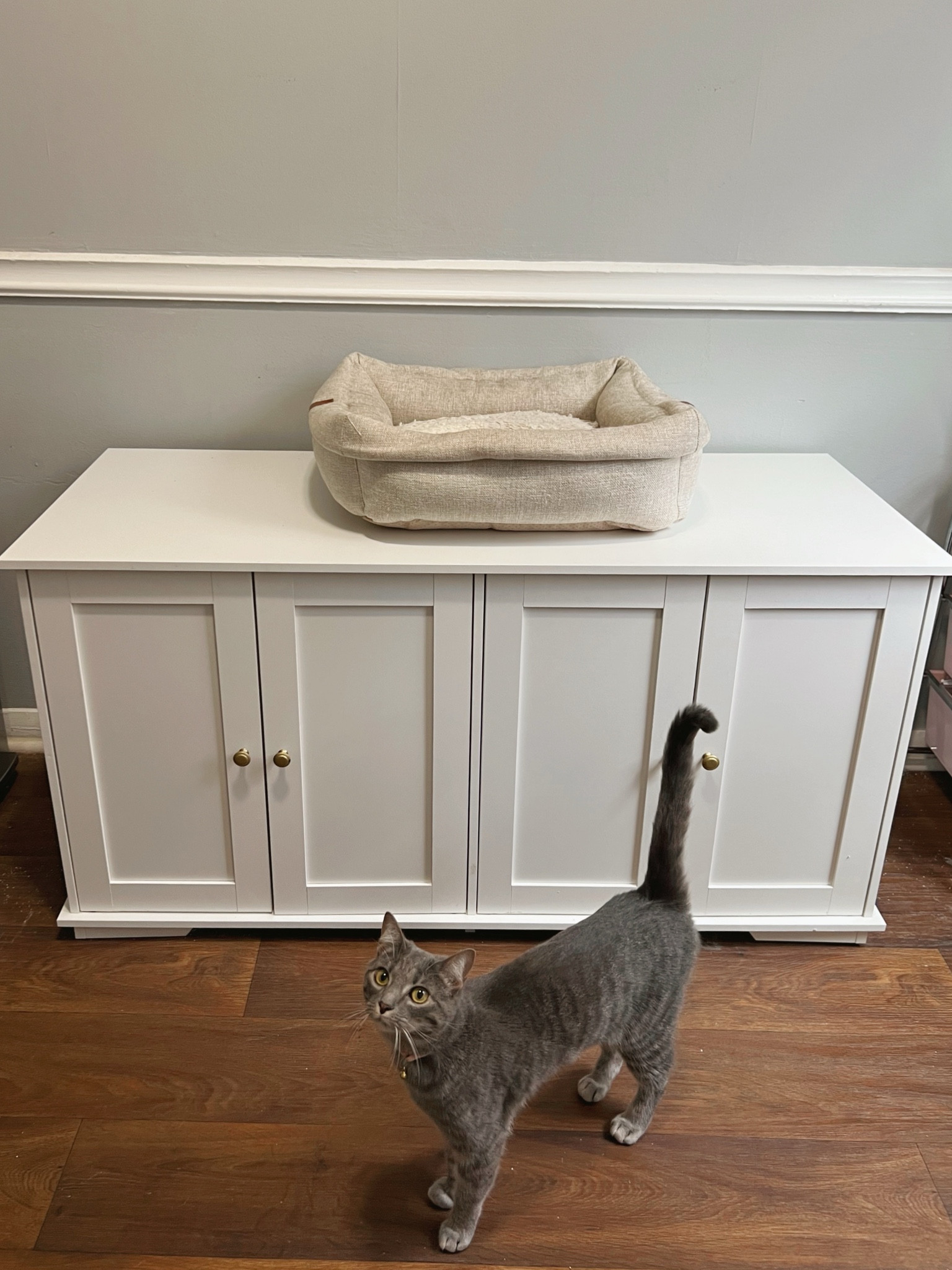 a double litter box cabinet 🙌🏼 this one is a great size for both of my cats and I really like that it holds two litter boxes while looking chic

(related search: apartment furniture, white litter box cabinet, double litter box furniture)



#LTKHome