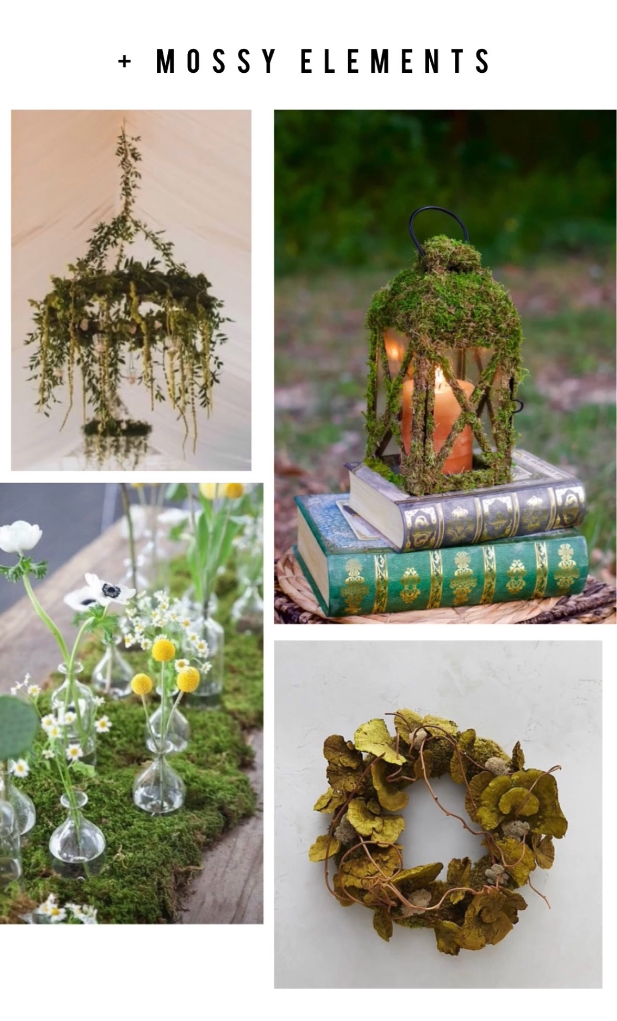 Here’s my shrek home aesthetic starter pack! Part 5 mossy elements 

#LTKhome