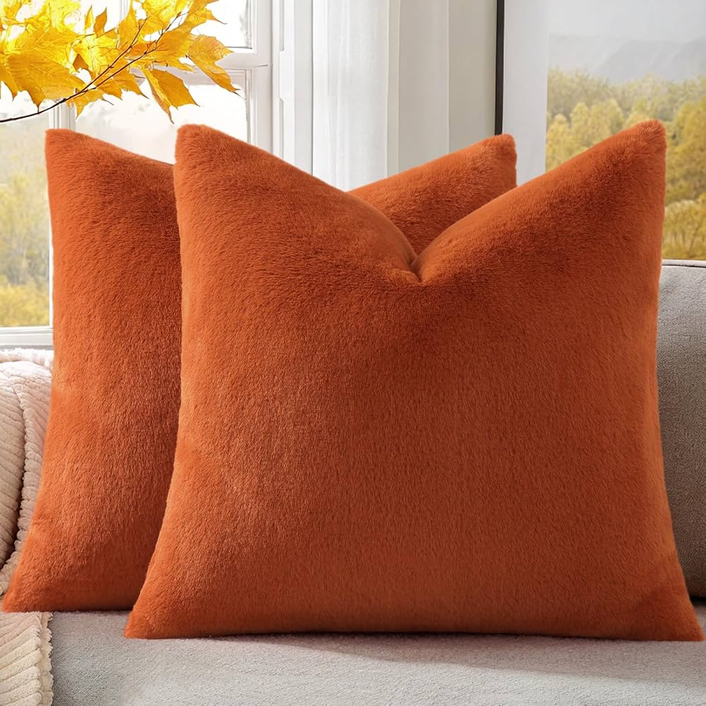 Pallene Faux Fur Plush Fall Throw Pillow Covers 22x22 Set of 2, Soft Fluffy Couch Pillow Covers f... | Amazon (US)