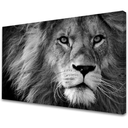 Baisuart D0169 Modern Giclee Canvas Prints Wall Art Stretched Artwork Black and White Lion Pictures  | Walmart (US)