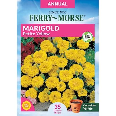 Ferry-Morse Marigold Petite Yellow Flower Seeds (Seed Packet) 0.4-Gram | Lowe's