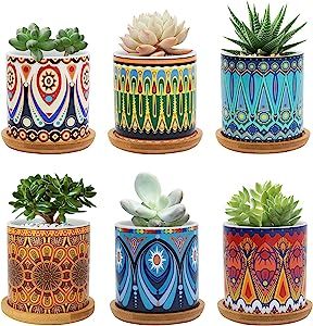 Warmplus Succulent Pots, 3 inch Mandala Planter Pot with Drainage and Bamboo Tray, Small Pots for... | Amazon (US)