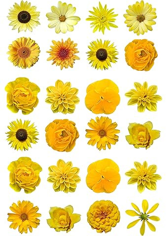 JeVenis Sunflower Birthday Cake Decoration Sunflower Party Supplies Sunflower Decorations Summer ... | Amazon (UK)