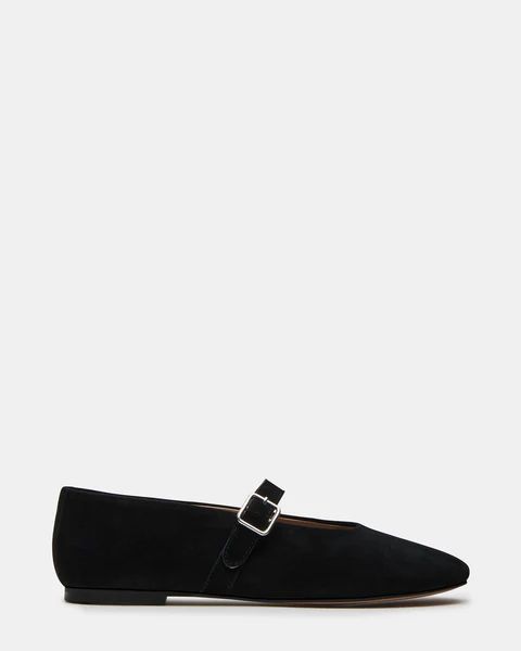 DREAMING BLACK SUEDE | Steve Madden (US)