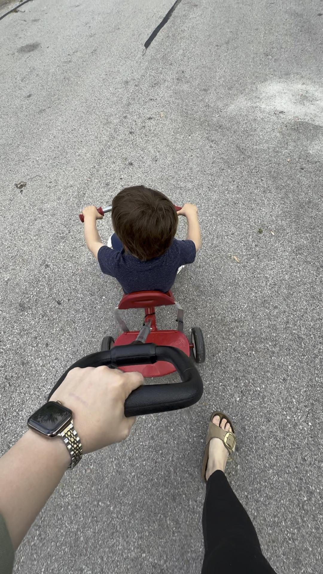 His favorite thing in the world: daily bikes through the neighborhood

#LTKfamily #LTKkids