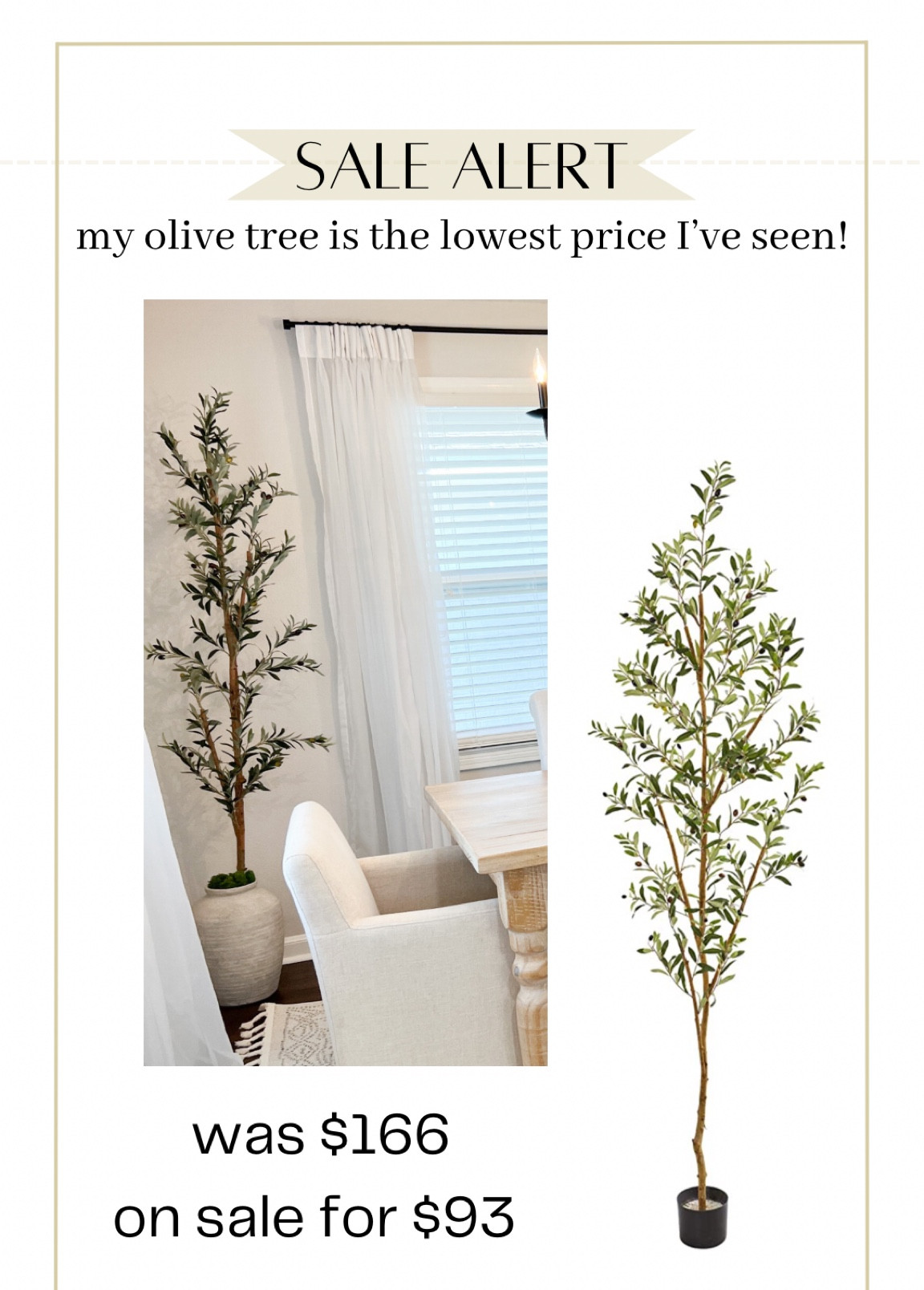 Almost 7 foot olive tree on major sale! 

#LTKsalealert #LTKhome #LTKunder100