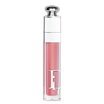 Christian DiorAddict Lip Maximizer Gloss - # 012 Rosewood 6ml/0.2oz | Strawberrynet