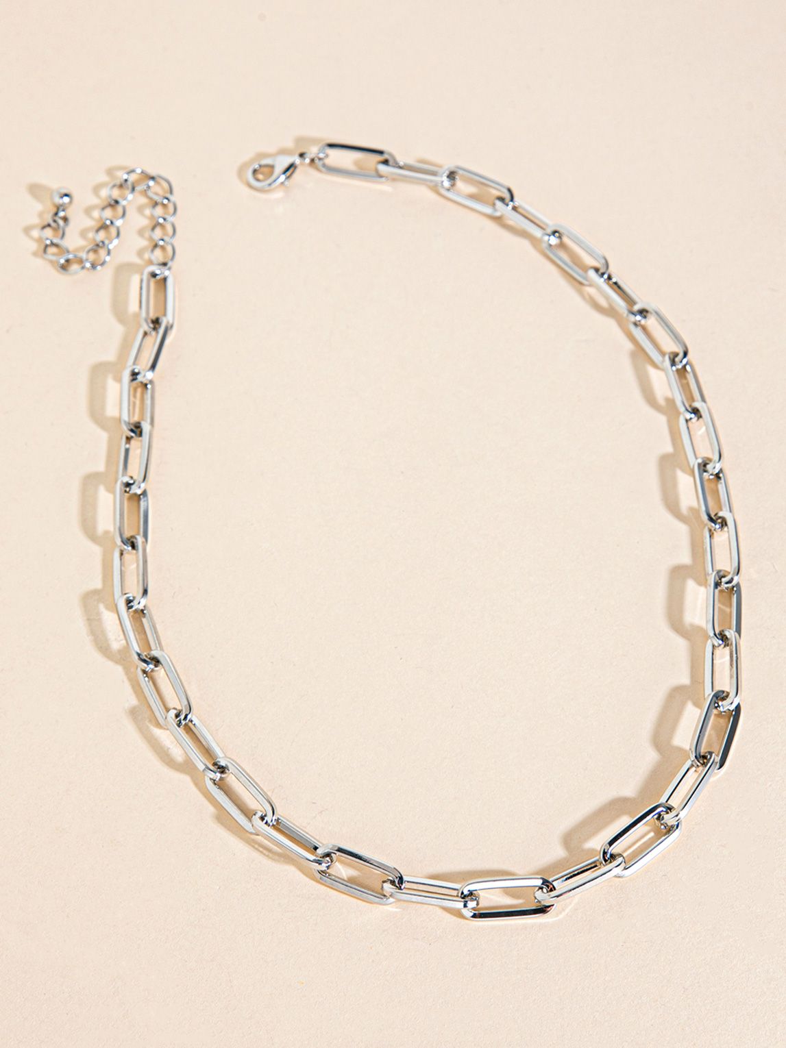 Silver Chain-Link Necklace | Rickis | Ricki's