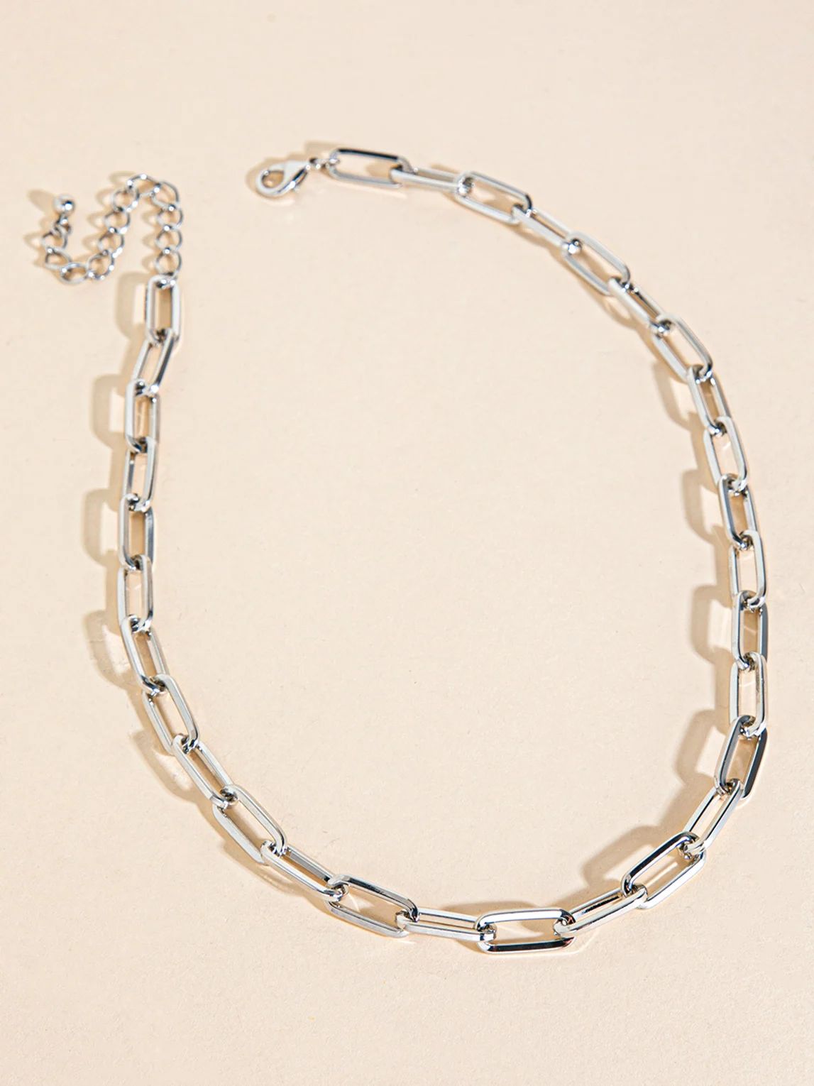 Silver Chain-Link Necklace | Rickis | Ricki's