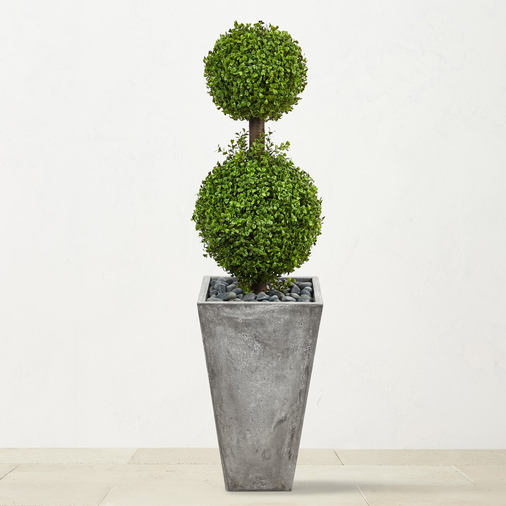 Faux Indoor/Outdoor Double Boxwood Topiary Tree in Cement Planter, 48" | Williams-Sonoma