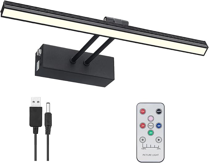 FUNCHDAY Wierelss Picture Light,13inch Picture Light Battery Operated,Remote Control Painting Lig... | Amazon (US)