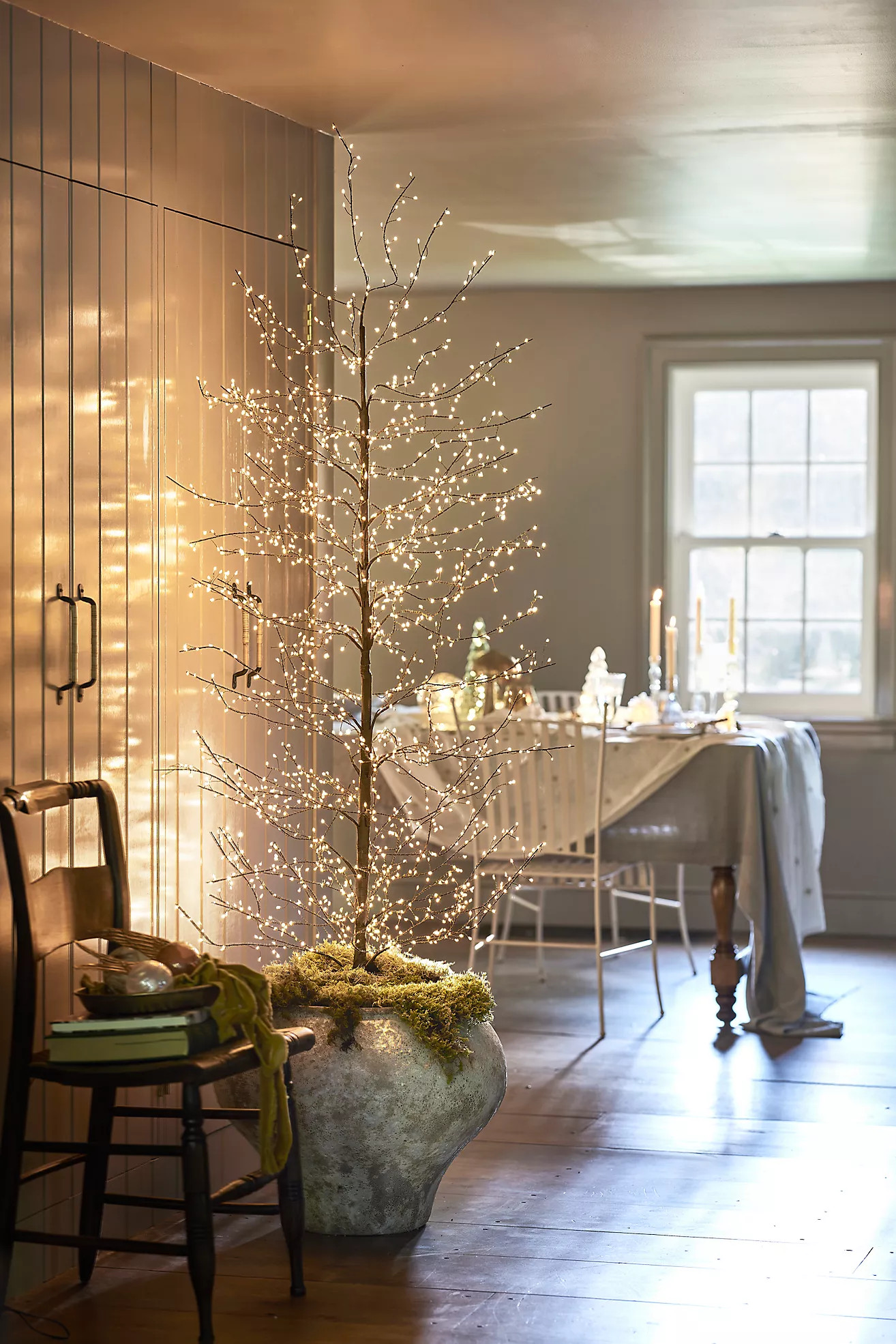 Stargazer Nature Effects LED Outdoor Tree, Full | Anthropologie (US)