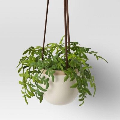 Hanging Wall Plant - Threshold™ | Target