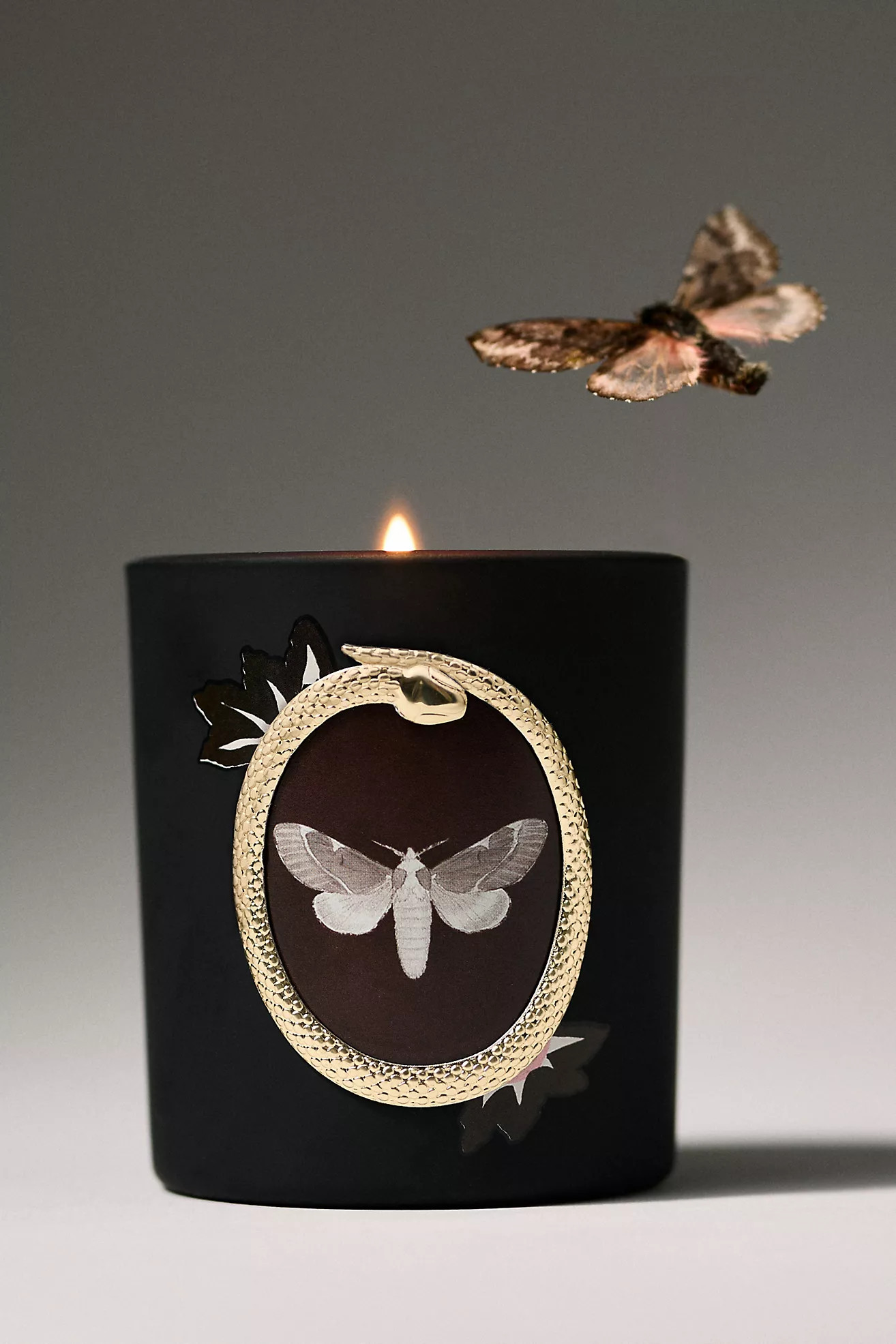 Halloween Moth Woody Teakwood Rose Glass Candle | Anthropologie (US)