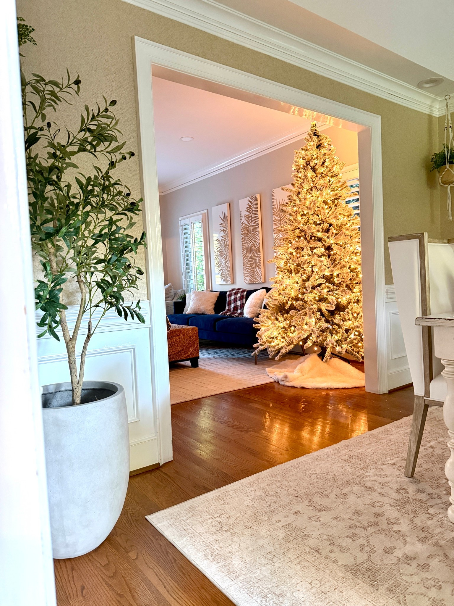 ✨✨Holiday season is here!!!!! Shop all my favorite trees✨✨


#LTKHome #LTKSeasonal #LTKHoliday