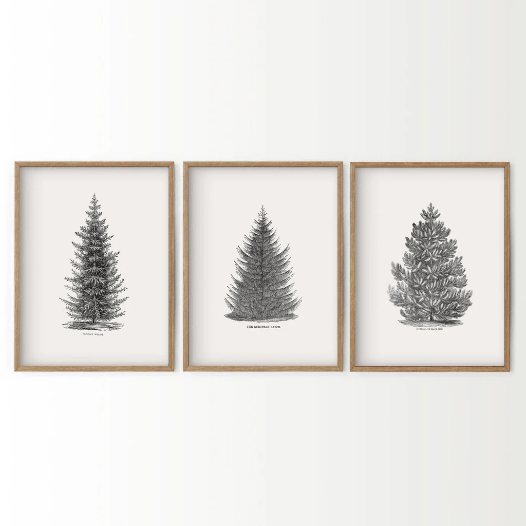 Set of 3 Forest Print, Norway Spruce Tree, Christmas Wall Decor, Vintage Winter Poster , Pine Tre... | Etsy (US)