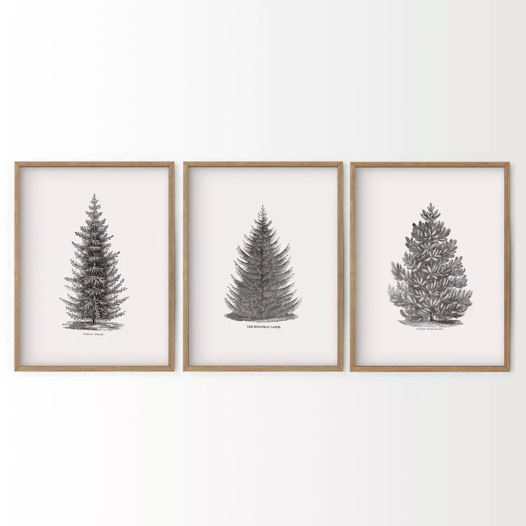 The Art File - Modern Trees Christmas Tissue Paper #TISX018