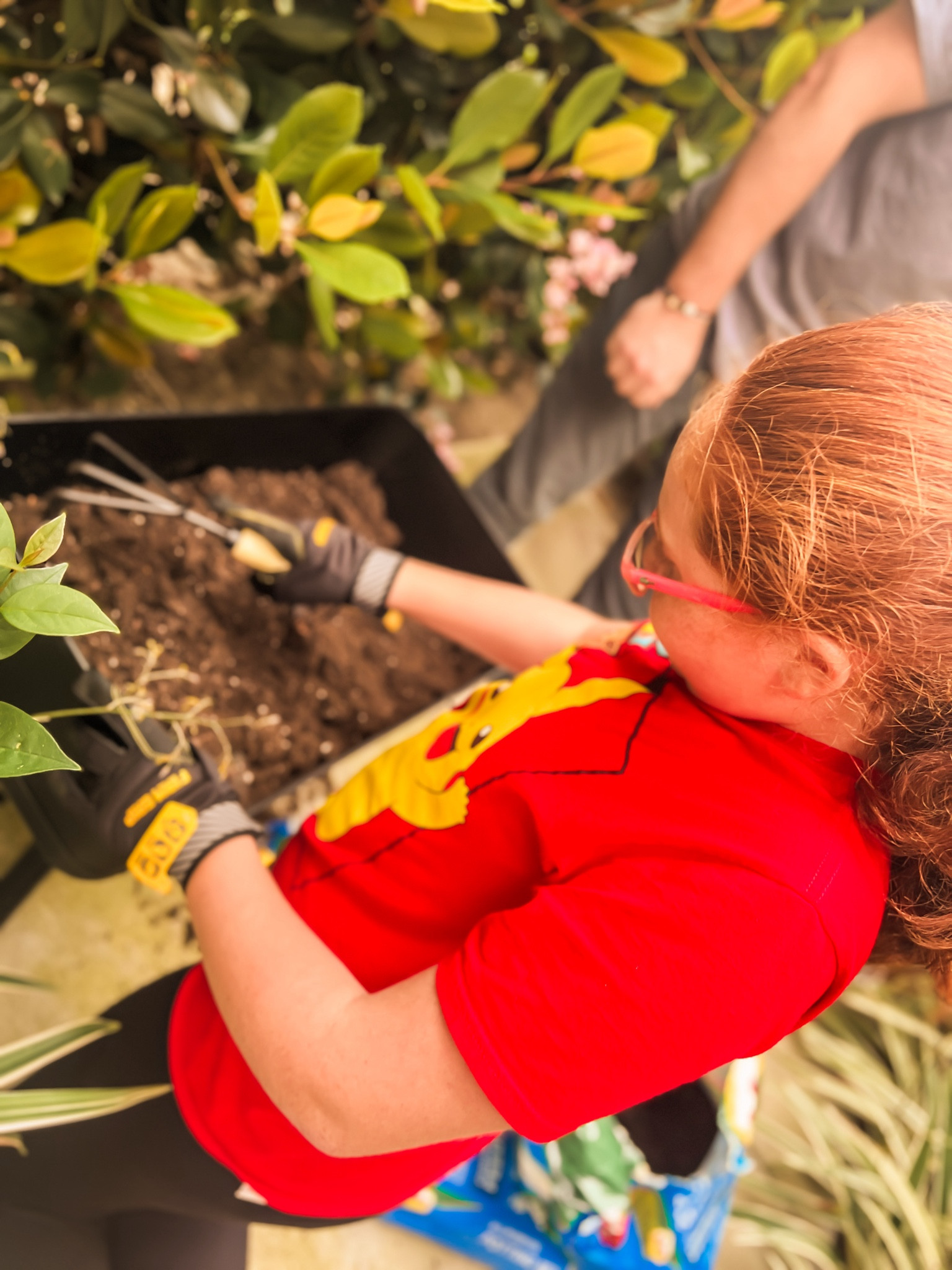 Garden 
Flowers
Spring
Summer
Target
Target finds
Target haul
Target circle 
Target sale


#LTKGiftGuide #LTKSeasonal #LTKfindsunder100