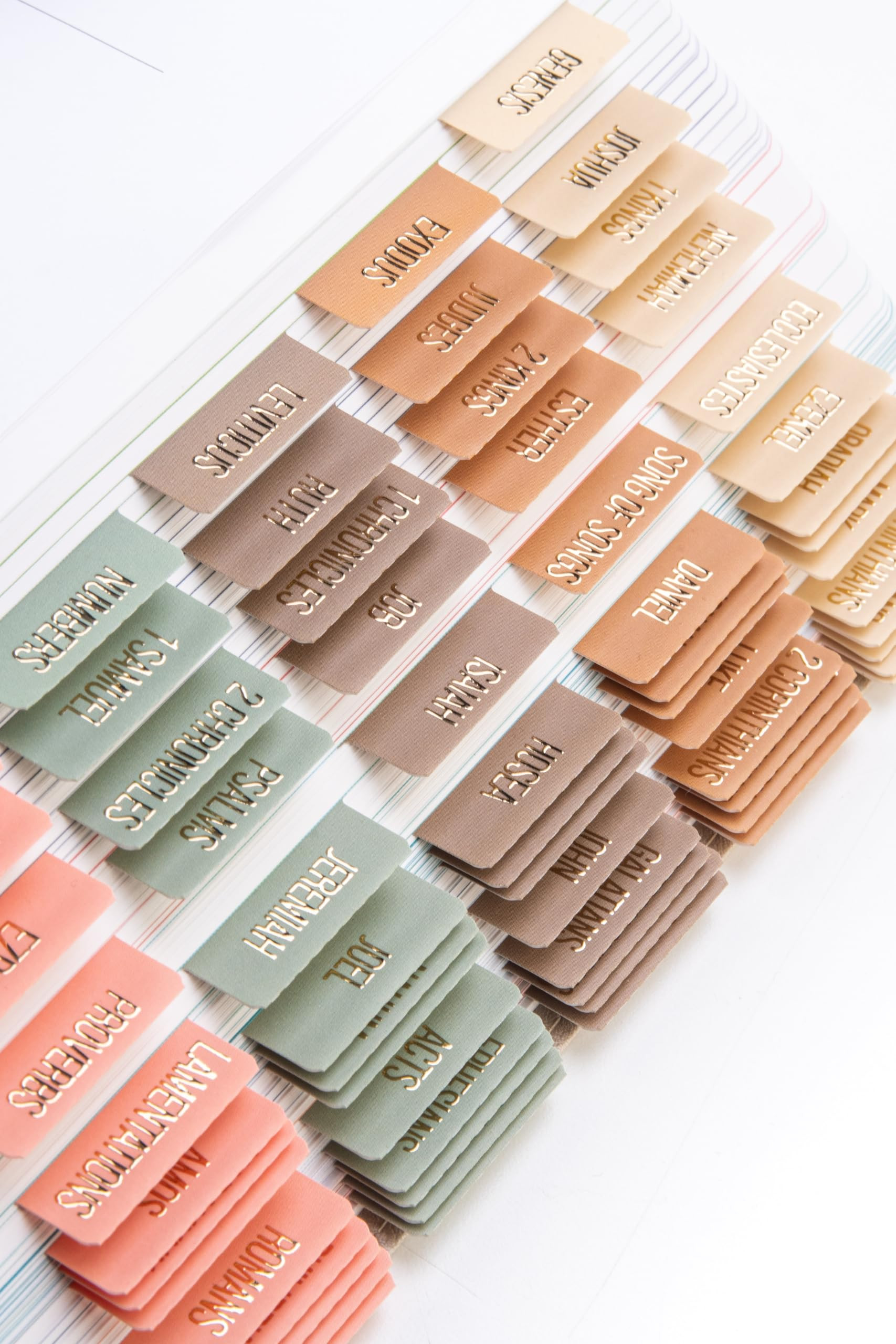 DiverseBee Laminated Bible Tabs (Gold Embossed Lettering), Bible Journaling Supplies, Bible Book ... | Amazon (US)