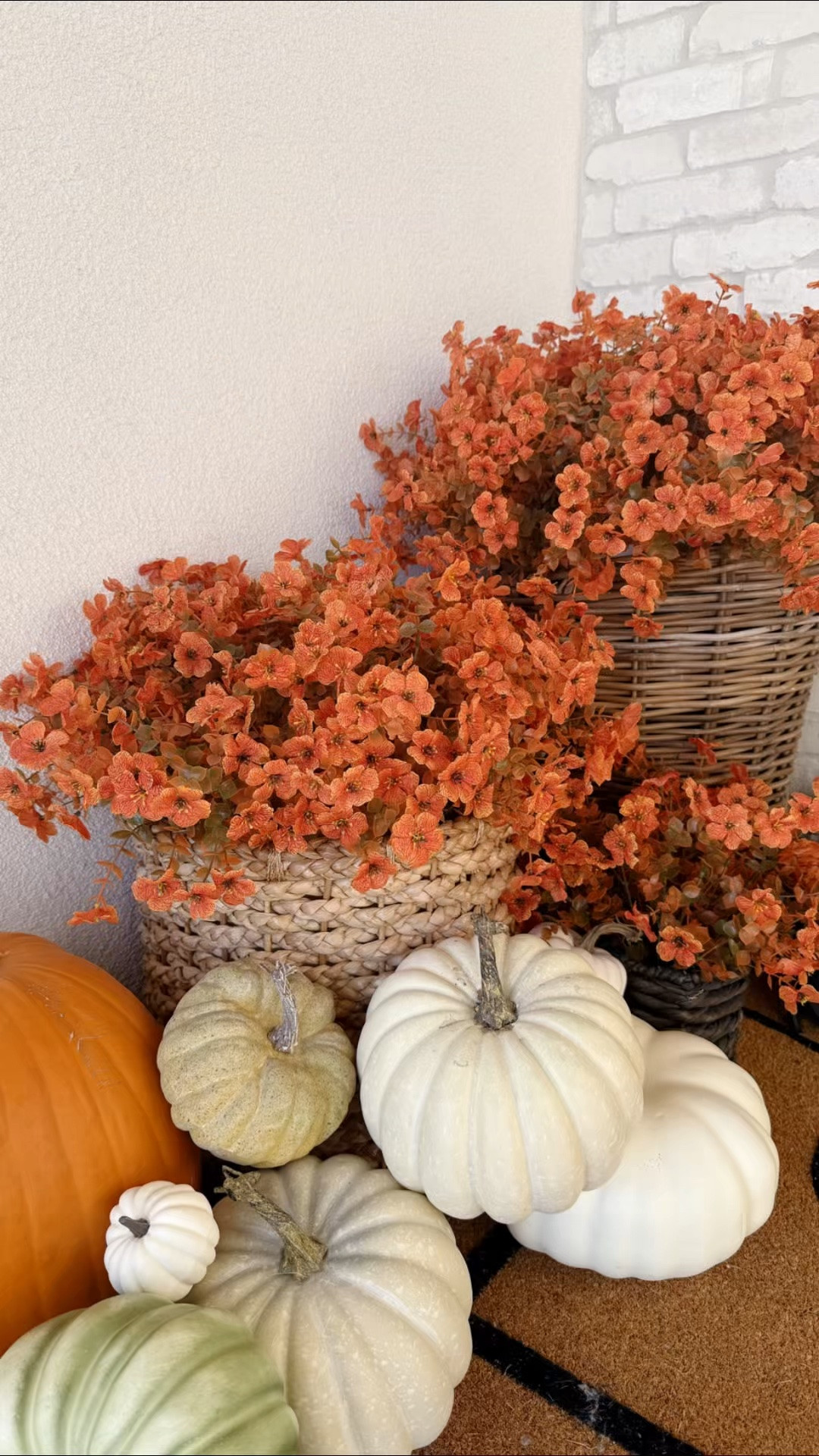 Is it too soon to decorate for Halloween? The answer is never. 🤣

#LTKSeasonal #LTKdayinmylife #LTKmorningroutine