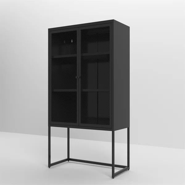 Kerrin Steel 2 - Door Mirrored Accent Cabinet | Wayfair North America