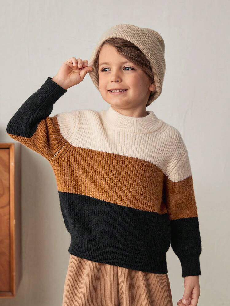 Cozy Pixies Young Boy Contrast Color Knit Soft Crew Neck Long Sleeve Sweater,In Fall/Winter | SHEIN