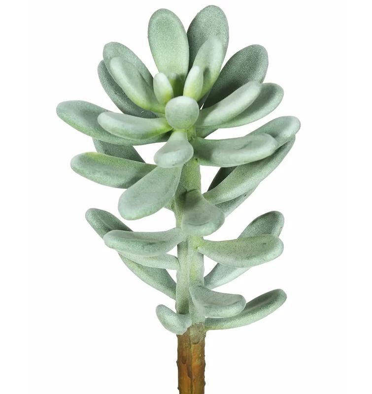 Artificial Succulent Stem | Wayfair North America