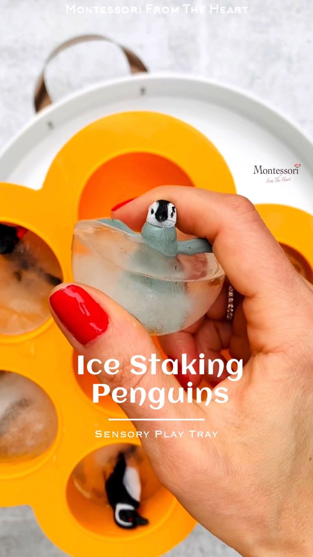 Looking for a low-prep frozen sensory bin? Try this ice-spinning penguin hack!

#LTKkids #LTKhome #LTKfamily
