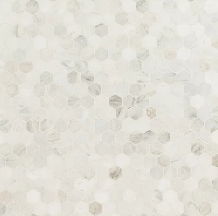 Arabescato Carrara Hexagon 12 in. x 11.75 in. Marble Mosaic Wall and Floor Tile | Wayfair North America