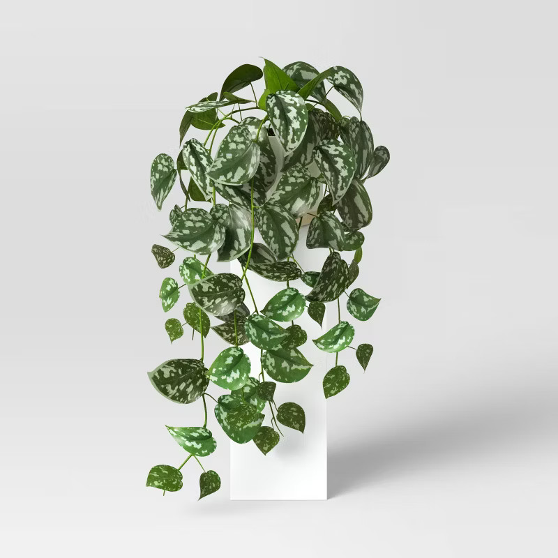 Medium Trailing Ceramic Pot - Threshold™ | Target