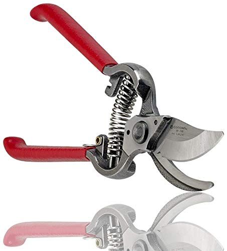 Corona BP 3180D Forged Classic Bypass Pruner with 1 Inch Cutting Capacity, 1", Red | Amazon (US)