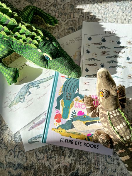 Mini Crocodile Unit Home Study #homeschooling

#LTKbaby
