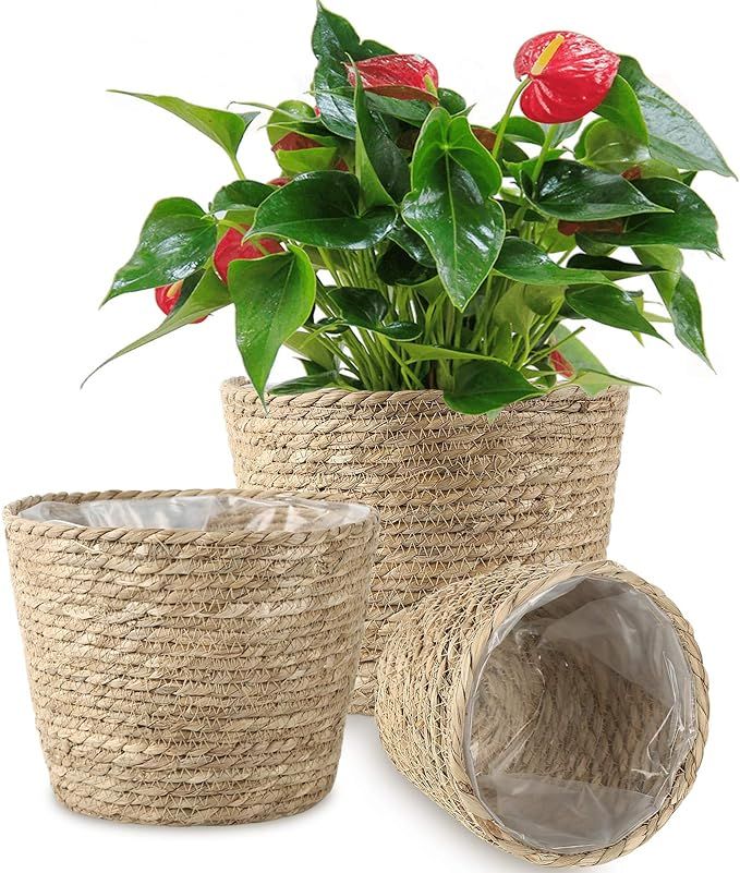 TomCare Plant Basket 3 Pack Seagrass Baskets Hand Woven Planters Basket with Waterproof Plastic L... | Amazon (US)