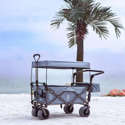 Versatile Foldable Wagon With Removable Canopy And Multiple Storage Options | Wayfair North America