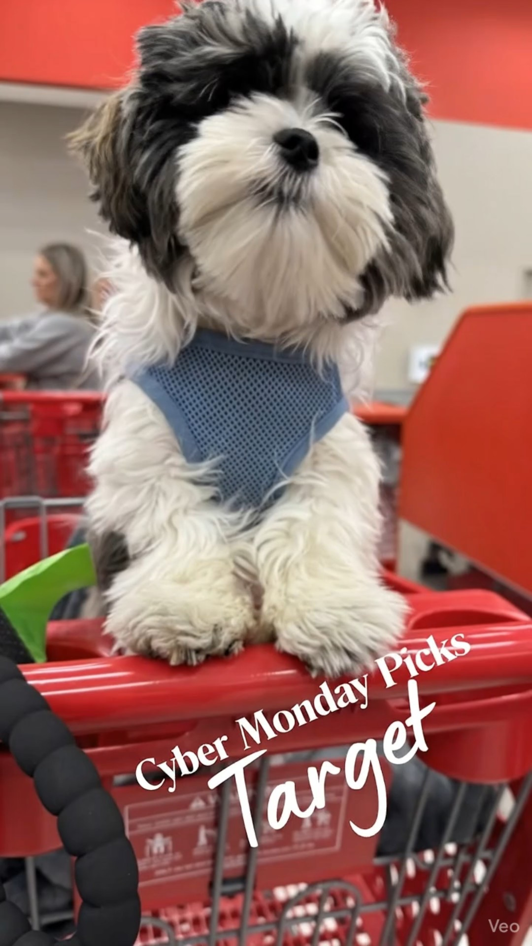 These are my top cyber Monday picks at target.

#LTKHoliday #LTKGiftGuide #LTKCyberWeek