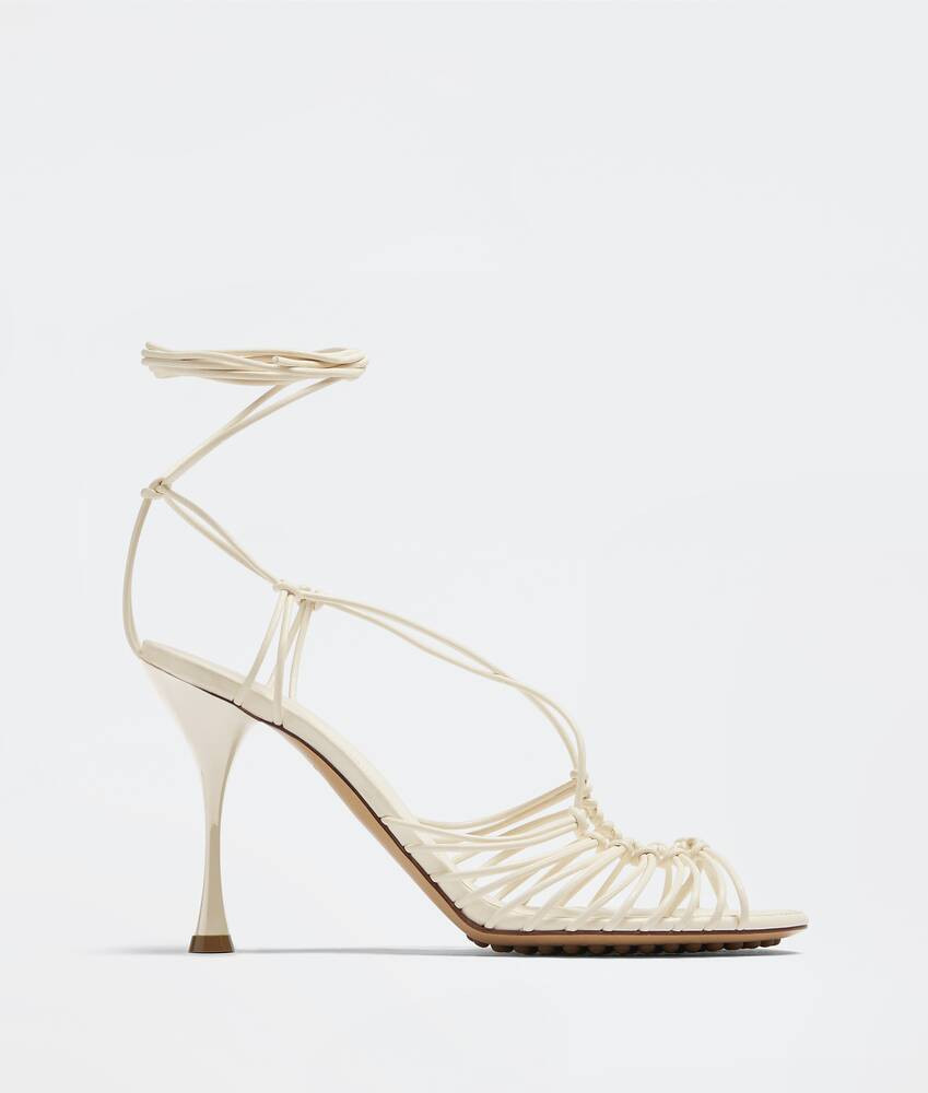dot | Bottega Veneta