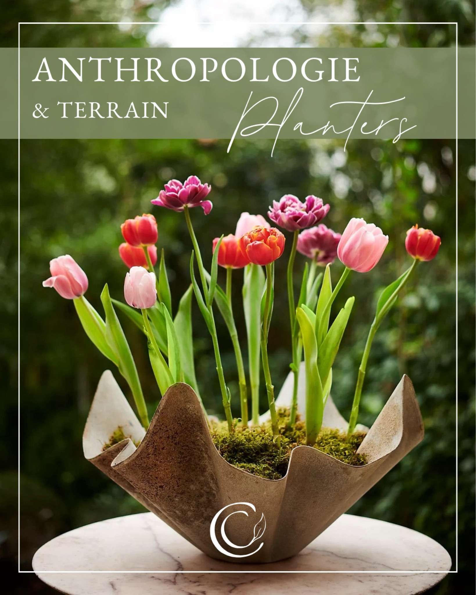 Handkerchief Bowl, inspired by Willy Guhl, for a modern or retro edge to your houseplants, dish gardens, and floral designs🌷

#LTKSpringSale #LTKSeasonal #LTKhome