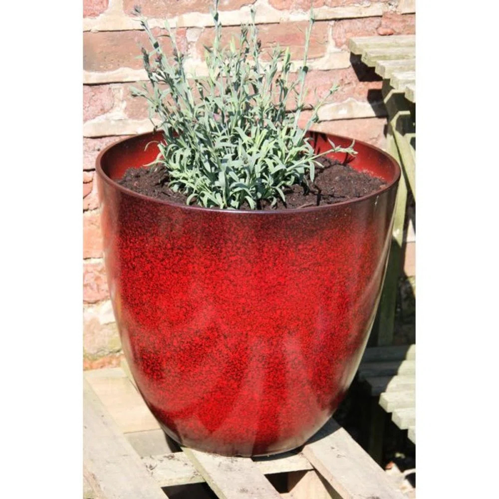 17 Stories Einar Plastic Plant Pot & Reviews | Wayfair.co.uk | Wayfair UK