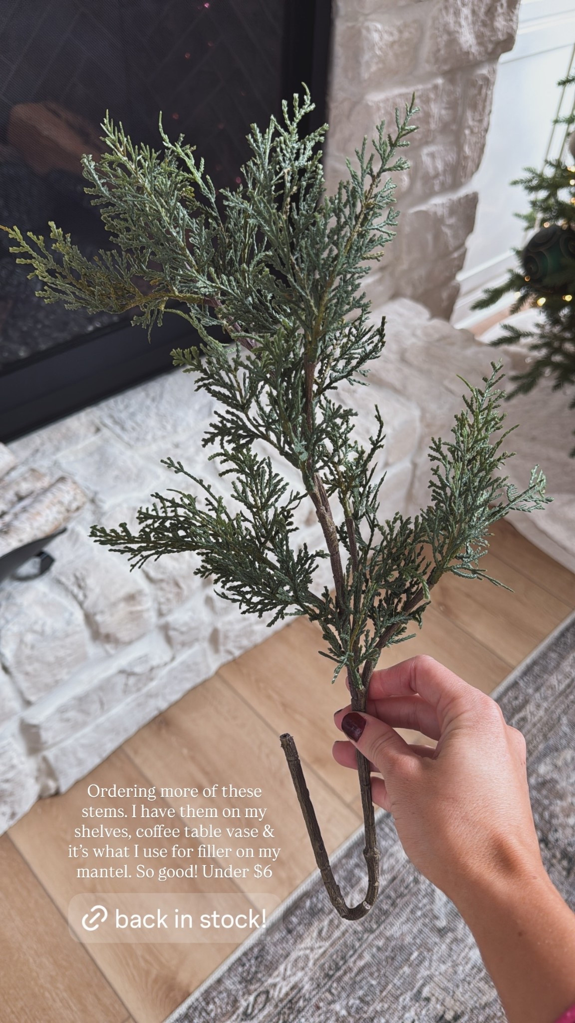 Ordering more of these stems. I have them on my shelves, coffee table vase & it’s what I use for filler on my mantel. So good! Under $6 Christmas greenery. Holiday stems. 

#LTKSeasonal #LTKHome #LTKHoliday