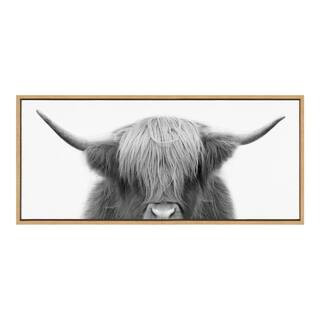 Hey Dude Highland Cow by The Creative Bunch Studio Framed Animal Canvas Wall Art Print 18.00 in. x 40.00 in. . | The Home Depot