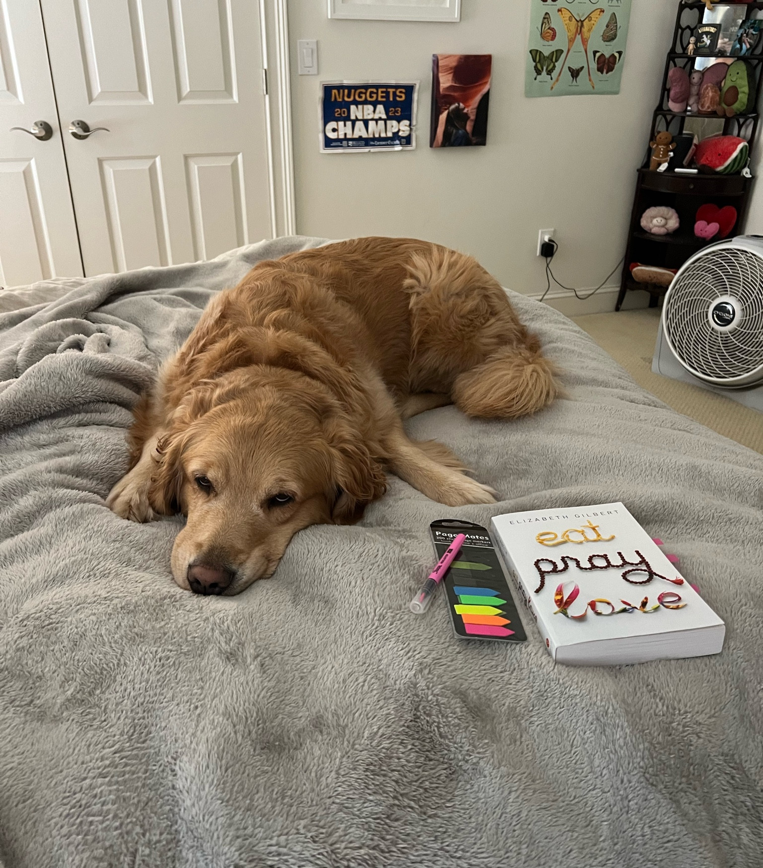 My reading buddy - everything from amazon! 

#LTKItBag #LTKTravel #LTKSeasonal