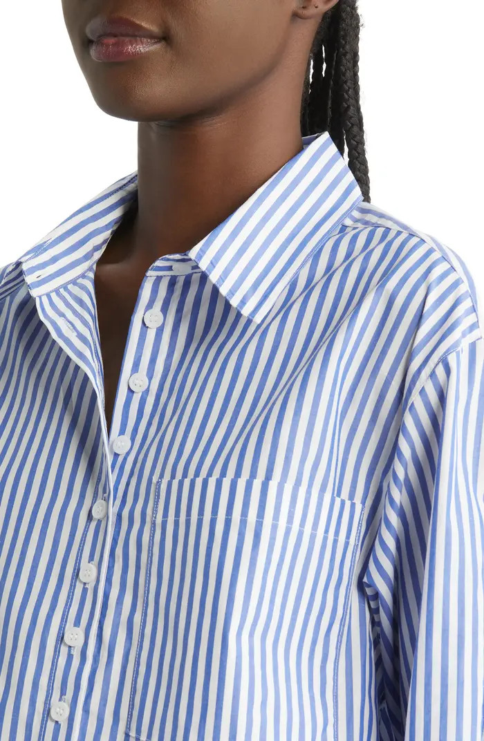 Stripe Cotton Button-Up Shirt | Nordstrom