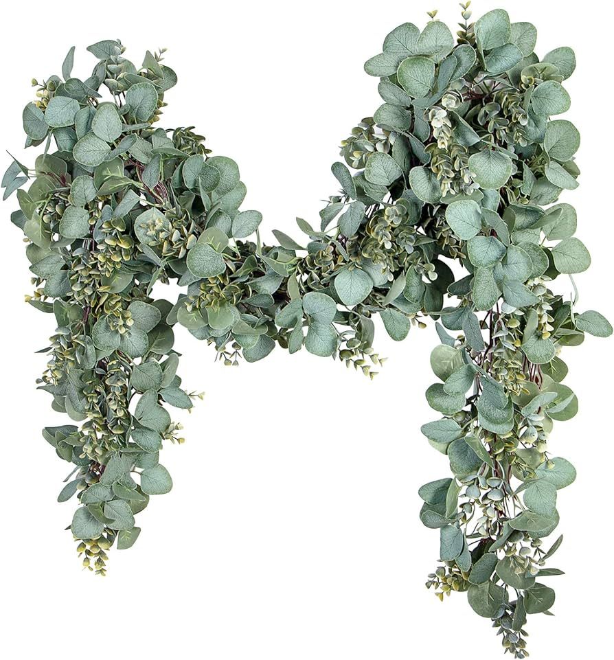 Ouddy Decor Eucalyptus Garland 6.56 Ft Lush Silver Dollar Eucalyptus Leaves Boxwood Artificial Fa... | Amazon (US)