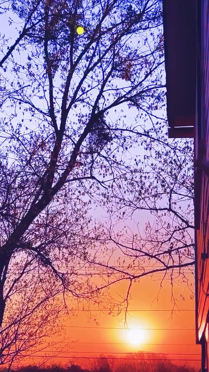 really realllyyyy loving waking up to these sunrises here ✨ today is a really exciting day for us and we are praising Jesus for His faithfulness this morning!! I have been up super early reading… and man, we can’t PRAISE you enough, Oh Lord!! 🏡🙏🏽 Your plans & your ways are always perfect! 🫶🏽

#LTKhome #LTKfamily #LTKSeasonal