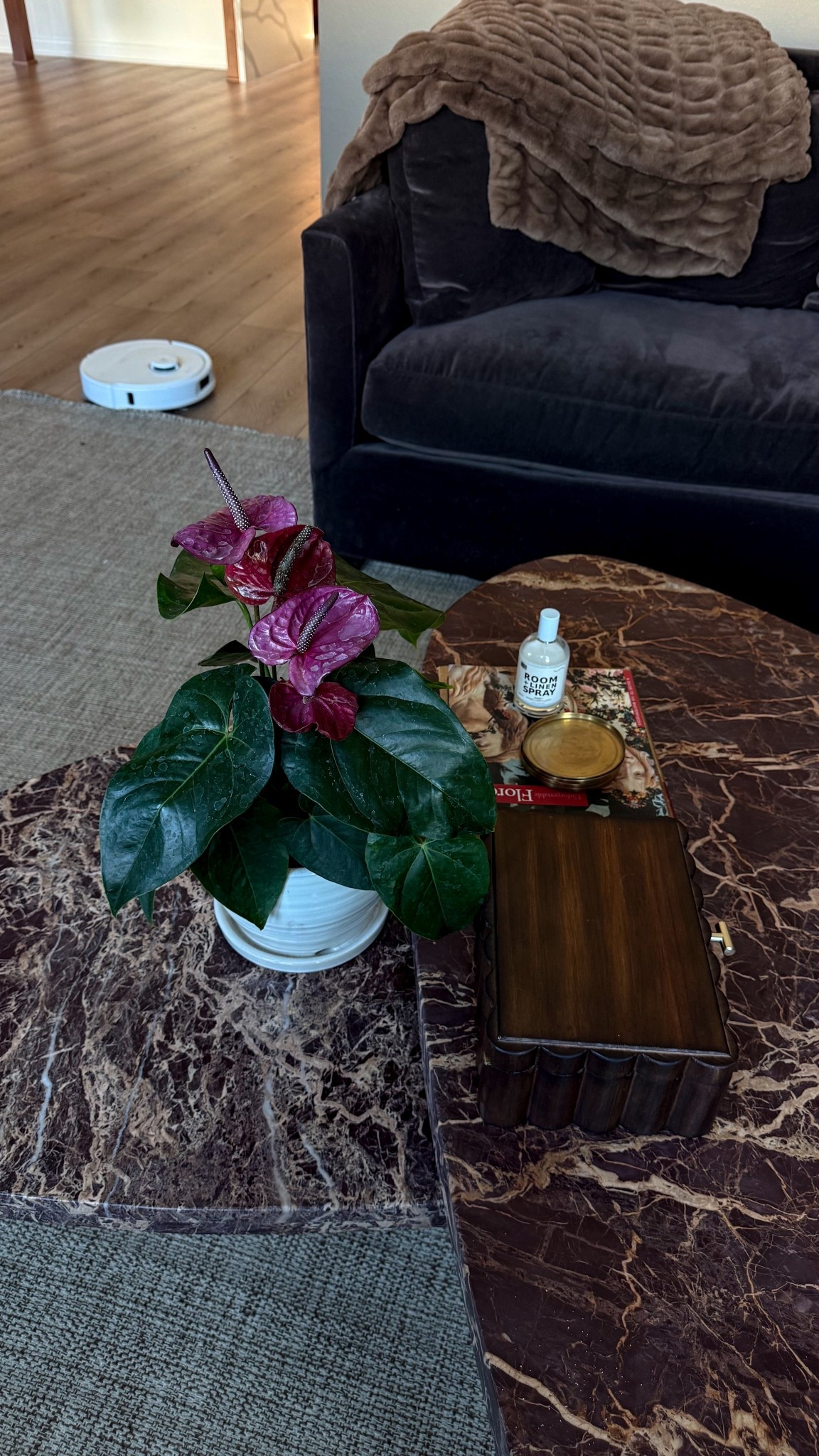 Coffee table moment✨ One of my floral finds to freshen up the look! 

#LTKSeasonal #LTKHome