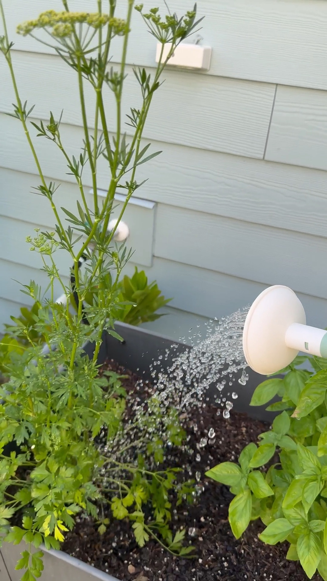 I love growing fresh herbs for my family in this outdoor planter from Amazon. 🪴

#LTKHome #LTKmomlife