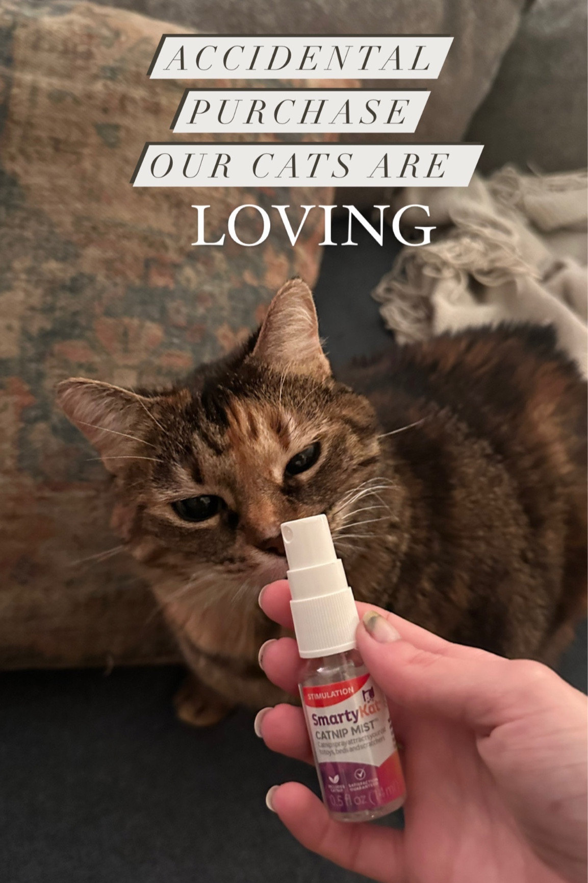 Accidentally purchased this cat bio spray instead of catnip and when I say our cats are obsessed. Big big hit at our house 

Animals | cats | pets 

#LTKhome #LTKfindsunder50 #LTKfamily